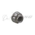 Nut, Double Hex Head, Steel