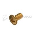 SCREW: WASHER HD,ST