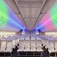RGBW Strip Lights