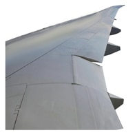 Wing Skins