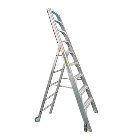 Ladder, A/C MX , Cowling/Pylon, 10 Ft, Tool Tray, Cast Feet