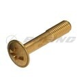 SCREW: WASHER HD,ST,