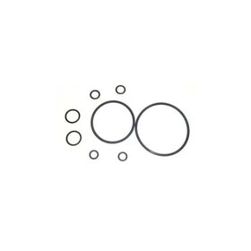 KIT: ORING,VALVE,SELECTOR,FUEL,